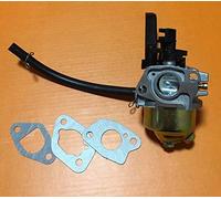 Carburateur avec joint pour groupe électrogène Scheppach SG 3000