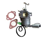 Carburateur avec Joints pour générateur Proforce PM0106000 PM0106001 PMC106000 6000 7500 Watts