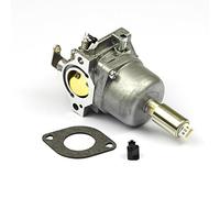 Carburateur Briggs & Stratton 799727