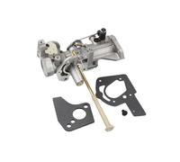 Carburateur Carb 499952 Fit Briggs for et for les moteurs Stratton 495459 499953 499952 5HP