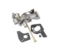 Carburateur Carb 499952 Fit for Briggs et for Stratton 495459 499953 499952 for moteurs 5HP