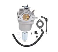Carburateur Carb 698620 799727 Fit for 287707 287776 287777 310707 310777 28N707 Pièces de Rechange