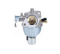Carburateur Carburateur pour BRIGGS pour STRATTON 846944 847395 808725 350777 carburateur de tondeuse à gazon carburador carb