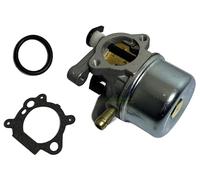 Carburateur compatible avec B&S Toro 16401 20795 20808 20021 20043 20814 20817 20776 20781