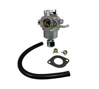 Carburateur compatible avec Briggs & Stratton B&S 14 15 16 17 18 HP Intek 287707 499153 496796