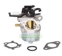 Carburateur compatible avec Briggs & Stratton B&S Serie 700 750 DOV 591852 793463 793493 595509