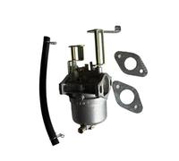 Carburateur compatible avec le générateur 2,5HP 900 1000 watts 01532