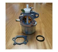 Carburateur Compatible avec Les modèles 497586, 499059 et 214661, Joint, Accessoires for tondeuses à Gazon