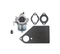 Carburateur Compatible avec Les Moteurs 13HP I C 28M707 28M706 28R707