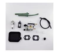 Carburateur Compatible avec Les souffleurs de Feuilles BG85, SH85, BG45, BG46, BG65, SH55 et BG55 (référence C1Q-S68). Remplace la référence 4229 120 0606(1 Set)