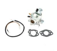 Carburateur de rechange compatible avec tracteur de pelouse LT-166 | Convient pour et 16 pour HP pour moteur Vanguard | Pièce de rechange pour assemblage de carburateur avec joints