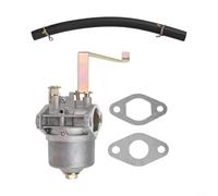Carburateur de rechange pour générateurs de 63 CC et 64 CC compatible avec les modèles 60338, 66619, 69381, générateurs d'énergie 700 900 W améliore le fonctionnement du générateur avec tuyau de