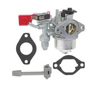 Carburateur de Remplacement 84004885 for Moteur Vanguard 799060