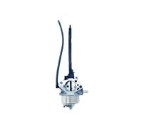 Carburateur de Tondeuse for Br & St 799802 25D137 25M137-0019-F1