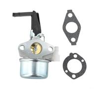 Carburateur et ensemble de joints conçus pour 696065 pour 697422 pour 110402 110412 215369 types de moteurs utilisés dans les machines d'extérieur 5 HP, 5,5 CV, 6 HP