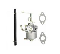 Carburateur et Joint for Moteur à Essence GT241 GM82, pièces détachées for Moteurs à Essence GT-241/GT 241