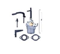 Carburateur for générateur de souffleuse à Neige, remplace Les références OEM 796321, 696132, 696133, 796322, 699958, 697351