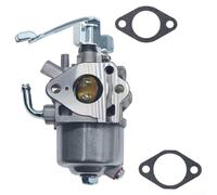 Carburateur haute performance pour générateur HU5000 UT905000P Convient pour RGX4800 Fonctionnement durable en extérieur