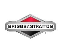 Carburateur Original BRIGGS & STRATTON 596102