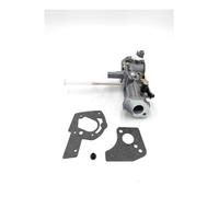 Carburateur Pour Briggs Et Pour Stratton 130292 130297 132212 5 HP Avec Joints Et Bouchon