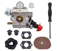 Carburateur pour FS56RC, compatible avec C1M S267A et autres modèles FS Solution d'entretien complète