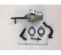 Carburateur Tondeuse À Gazon Moteur BRIGGS Vanguard 9 HP Horizontal 19L200