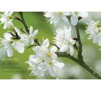 Card Box Of 20 Notecards And Envelopes: Blossom