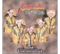 Cardenales De Nuevo Leon - Cosecha
