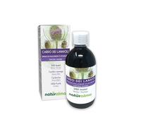 Cardère sauvage ou Cabaret des oiseaux (Dipsacus fullonum ou D. sylvestris) racines Teinture Mère sans alcool Naturalma - Extrait liquide gouttes 500 ml - Complément alimentaire - Végétalien ou végan
