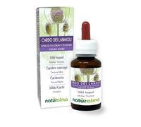 Cardère sauvage ou Cabaret des oiseaux (Dipsacus fullonum ou D. sylvestris) racines Teinture Mère sans alcool Naturalma - Extrait liquide gouttes 60 ml - Complément alimentaire - Végétalien ou végan