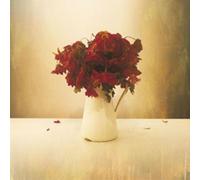 THE LION AND THE WOLF - THE CARDIAC HOTEL CD NEUF