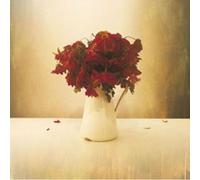The Lion & the Wolf – The Cardiac Hotel – CD – Universal Music Group