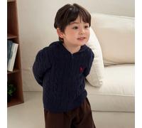 Cardigan à capuche à manches longues de couleur unie pour tout-petits garçons avec broderie de cheval, automne/hiver 6-9M,9-12M,12-18M,18-24M,2-3YFruits & légumesPolyester