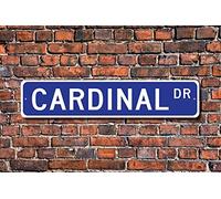 Cardinal Cardinal Gift Plaque cardinal Decor Cardinal Expert Oiseau Rouge Pour amateurs de rue/métro 10,2 x 40,6 cm