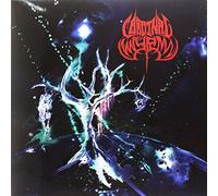 Cardinal Wyrm - Black Hole Gods - Coloured Edition