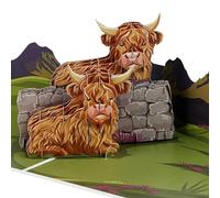 Cardology - Carte d'anniversaire avec vache Highland - carte pop-up 3D