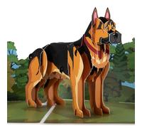 Cardology - Carte Pop-Up Berger Allemand 3D | Carte d’Anniversaire Unique pour Amoureux des Chiens, Fête des Pères ou Mères, Remerciement ou Départ à la Retraite | Fait Main avec Enveloppe