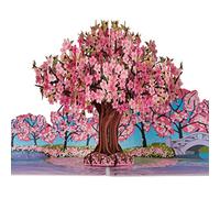 Cardology- Carte Pop-Up Fleur de Cerisier Rose | Cartes d'anniversaire pour elle, cartes de fête des mères, cartes de Saint Valentin, cartes Get Well Soon