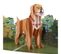 Cardology - Carte Pop-Up Golden Retriever 3D | Carte d'Anniversaire pour Amoureux des Chiens, Fête des Pères, Fête des Mères, Carte de Vœux Chien | Fait Main, Cadeau Original et Touchant