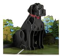 Cardology - Carte Pop-Up Labrador Noir 3D | Carte d’Anniversaire pour Amoureux des Chiens, Fête des Pères ou des Mères, Départ à la Retraite, Remerciement | Fait Main, Cadeau Original et Touchant