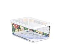 CARE + PROTECT Récipient Aliments, organiseur de Réfrigérateur, 4, 65 L