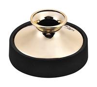 Caredy Sourdine pour Saxophone Alto Amortisseur de sourdine en Plastique Sax Silencieux Accessoire de Suppression du Bruit pour Saxophone Alto léger Silencieux Sax Sax Muet en Plastique(Or)