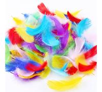 Carehabi Plumes Coloré 300 Pièces Plumes Loisirs Creatifs 8~12cm Multicolore Plume Décoration pour DIY Arts Crafts Maternelle décorations Mariage Attrape-Rêves Festival