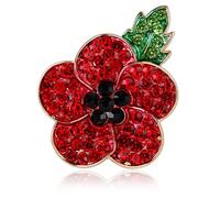 CAREOR Broche fleur de coquelicot rouge pour femme - Sensibilisation au jour du Souvenir - Badge Lest We Forget - Cadeau commémoratif symbolique pour homme et femme