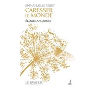Caresser le monde Eloge du carnet - Emmanuelle Tabet - Le Passeur - relié - Roman
