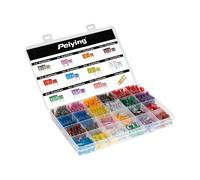 CARFIX Lot de 250 fusibles plats universels pour voiture, standard et mini (2 A 40 A) avec extracteur - Alliage de zinc résistant à la corrosion pour voiture, camion, camping-car et bateau