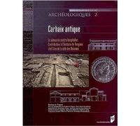 Carhaix Antique - La Domus Du Centre Hospitalier