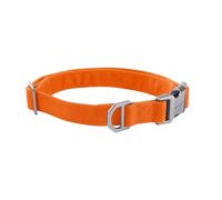 Carhartt Collier pour chien de champ entièrement réglable en tissu 600 deniers durable avec marque réfléchissante pour plus de visibilité, orange chasseur, taille M