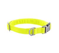 Carhartt Collier pour chien de champ, entièrement réglable, tissu 600 deniers durable avec mot-symbole réfléchissant pour plus de visibilité, vert citron vif, taille M