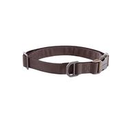 Carhartt Collier pour chien de champ, entièrement réglable, tissu 600 deniers durable avec mot-symbole réfléchissant pour plus de visibilité, vin foncé, taille L